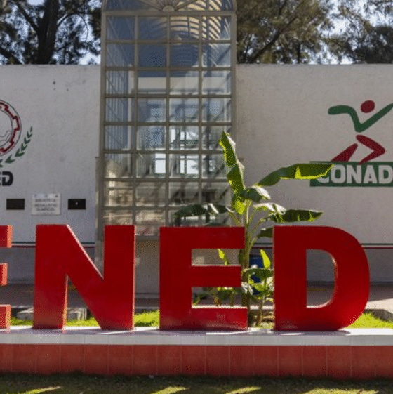 Actualización en plan de estudios y nuevos proyectos, esencia de la nueva ENED