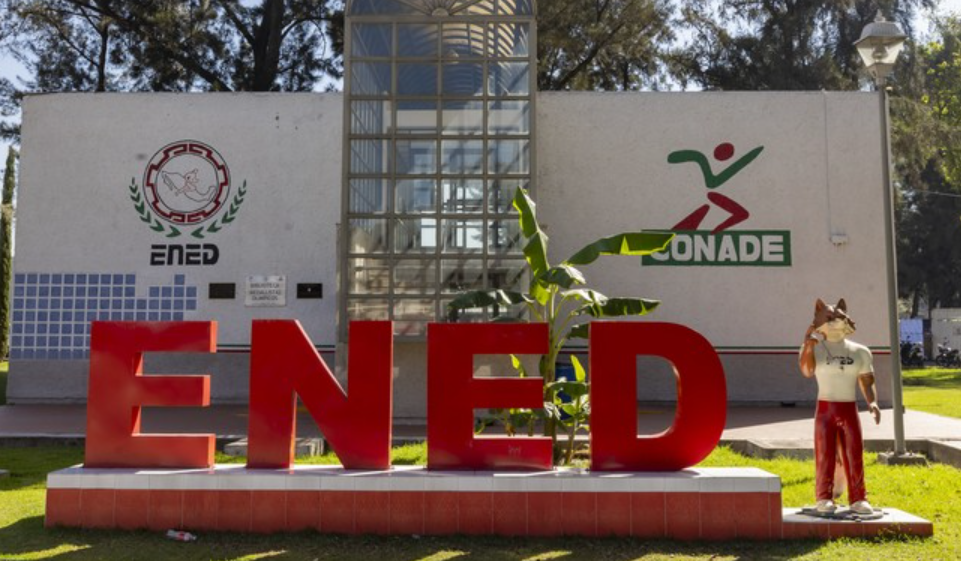 Actualización en plan de estudios y nuevos proyectos, esencia de la nueva ENED