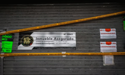 Crematorio clandestino de mascotas operaba como panadería