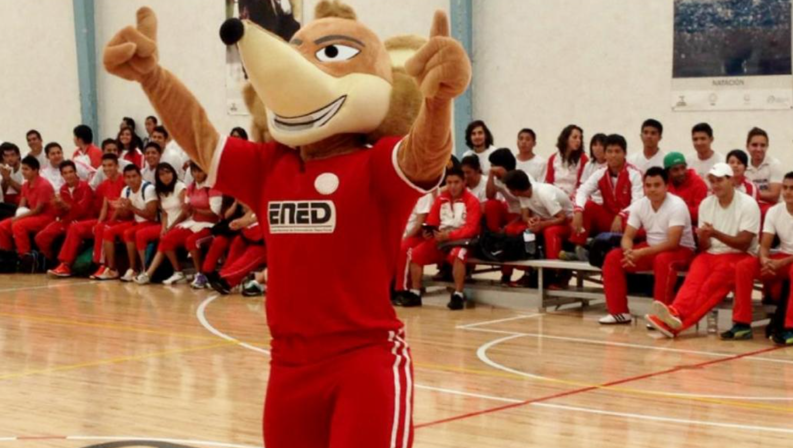 ENED a la vanguardia en entrenamiento deportivo