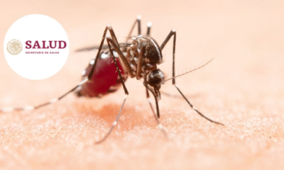 Estrategia Nacional contra el Dengue reduce en 85% los casos en lo que va de 2025