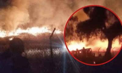 Incendio en Teotihuacán: llamas queman pastizales detrás de la Pirámide de la Luna