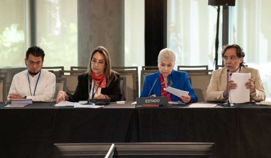 Participa México en la audiencia pública de la CIDH “Derecho a la Libre Determinación de los Pueblos Indígenas y Afromexicanos en México”
