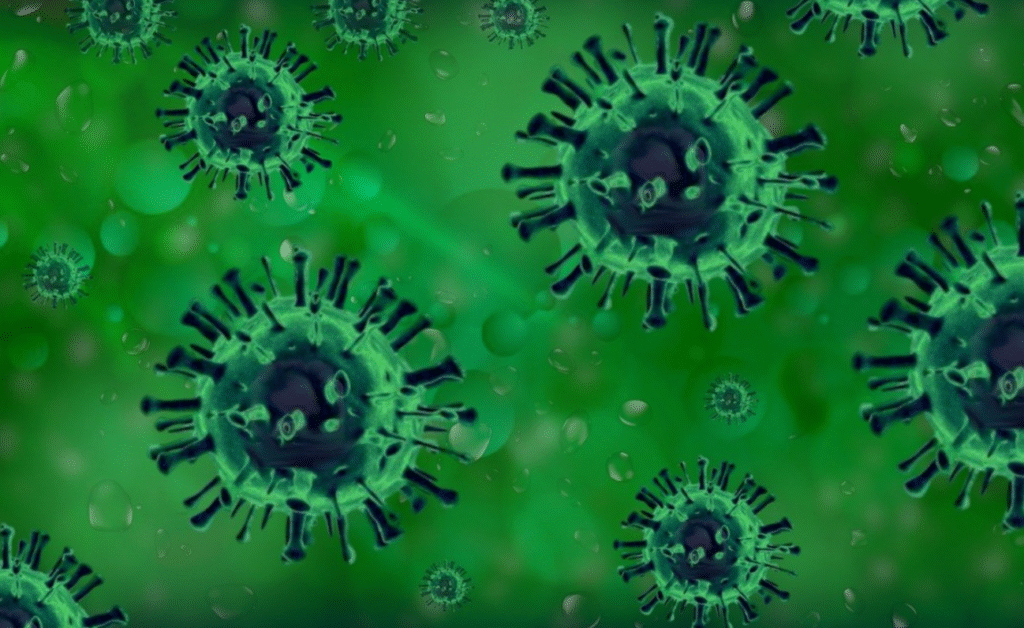 Primera muerte del mundo de un humano por gripe aviar H5N5 se registra en Estados Unidos