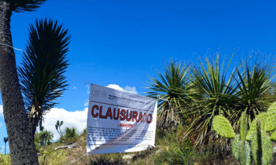 Profepa asegura 4 ton de productos forestales y clausura predio en Huamantla por aprovechamiento ilegal