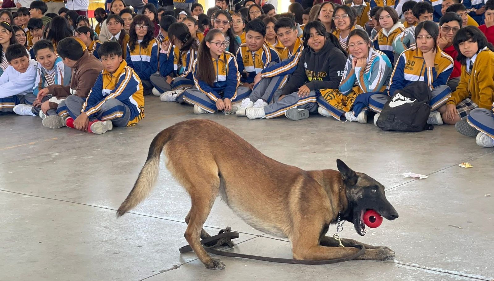 Fomentan la convivencia escolar en Tizayuca y Tasquillo con ferias educativas