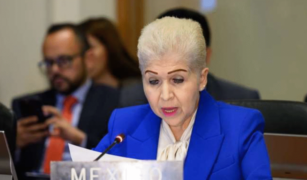 México reitera su compromiso con el derecho de asilo