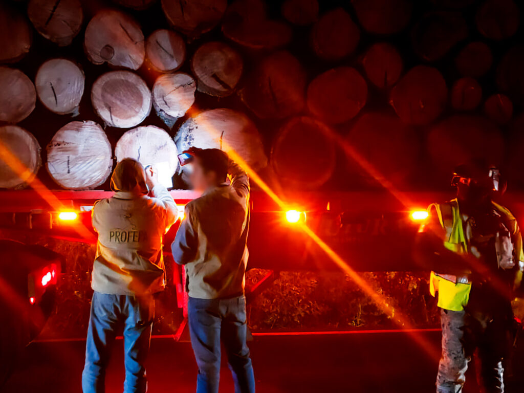 Profepa coordina operativo forestal simultáneo en 29 estados: asegura vehículos, madera, carbón, tierra de monte e impone 10 clausuras