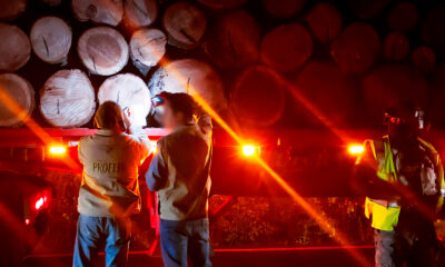 Profepa coordina operativo forestal simultáneo en 29 estados: asegura vehículos, madera, carbón, tierra de monte e impone 10 clausuras