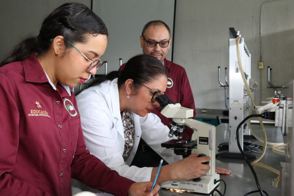 Presentan libro sobre la calidad sanitaria del queso asadero de Huejutla