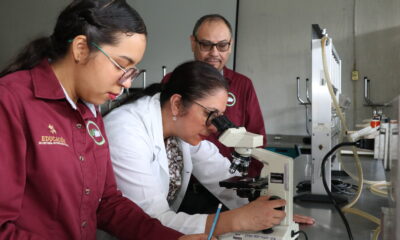 Presentan libro sobre la calidad sanitaria del queso asadero de Huejutla