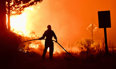 Incendio en Argentina afecta más de 12 mil hectáreas