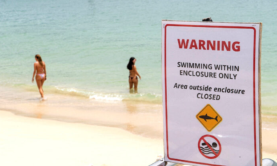 ¿Qué sucede en Sídney? Van 3 ataques de tiburón en poco más de 24 horas