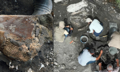 Descubren fósil de perezoso gigante en Costa Rica