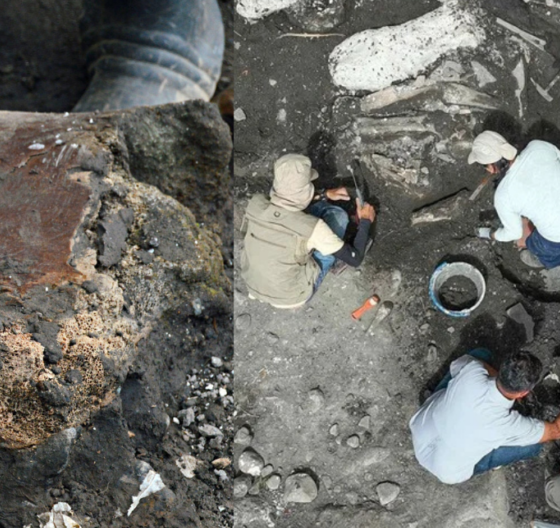 Descubren fósil de perezoso gigante en Costa Rica