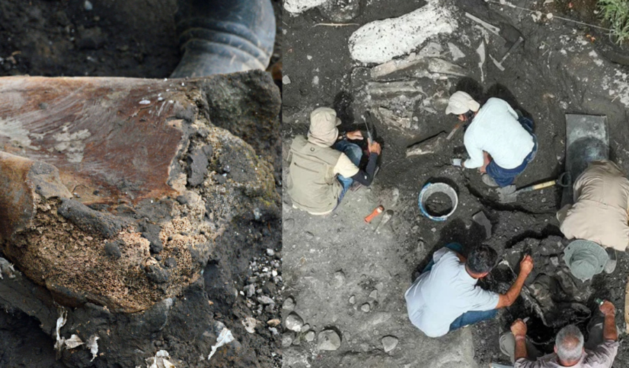 Descubren fósil de perezoso gigante en Costa Rica