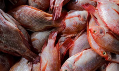 Profeco brinda consejos para la compra de productos del mar durante la Cuaresma