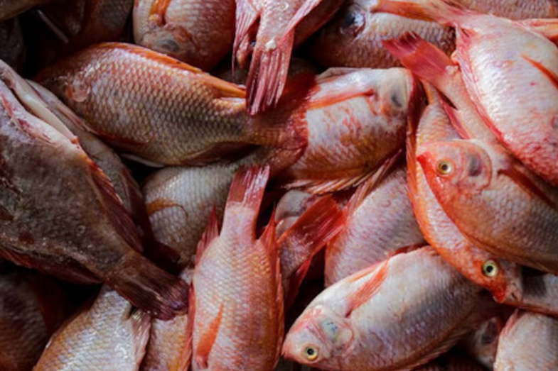 Profeco brinda consejos para la compra de productos del mar durante la Cuaresma