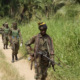 Rebeldes vinculados al Estado Islámico asesinaron a 20 civiles en el este de Congo