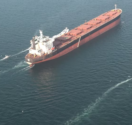 Cuál es la postura de los aliados de EEUU ante la propuesta de una misión naval en el estrecho de Ormuz