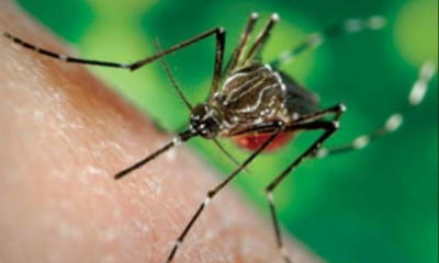 Inicia 1ª Jornada Nacional de lucha contra el Chikungunya y el Dengue 2026