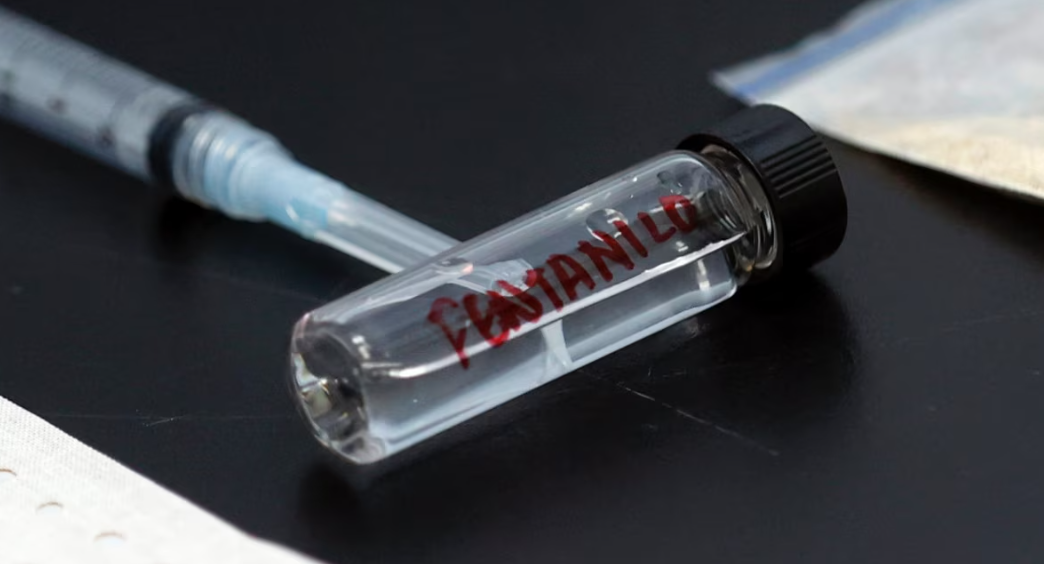 ONU le ‘copia’ la tarea a México: Adopta iniciativa para frenar producción de drogas sintéticas