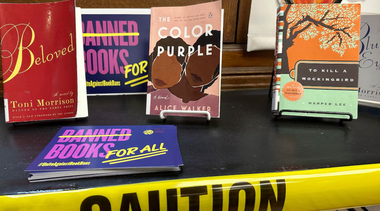 Las bibliotecas estadounidenses enfrentan récord de pedidos para retirar libros por objeciones “morales”