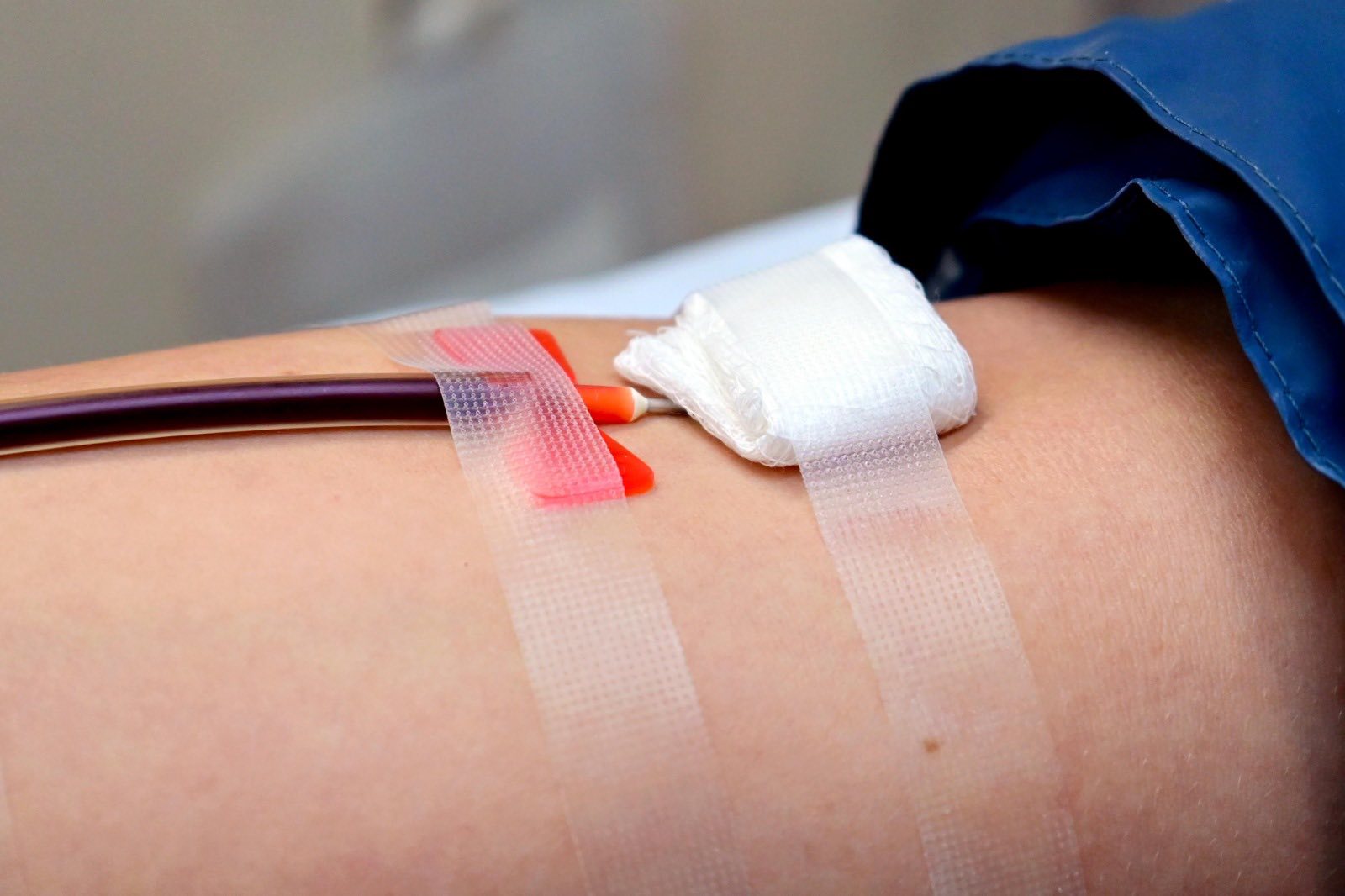 Centro Nacional de Transfusión Sanguínea incrementa donación altruista de sangre en los últimos 11 años