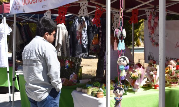 ITESA impulsa economía social con participación en red estatal NODESS