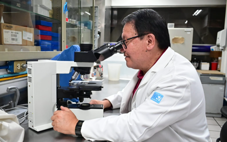 Científicos mexicanos investigan antibióticos derivados de veneno de alacrán contra la tuberculosis