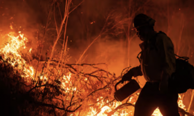 Más de 17 mil personas evacúan por incendio forestal en California