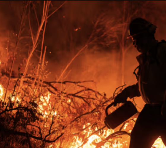 Más de 17 mil personas evacúan por incendio forestal en California