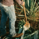 México ya tiene fecha oficial para celebrar el Día Nacional del Tequila