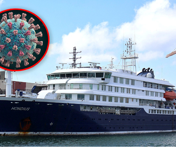 OMS alerta por tres muertes por hantavirus en crucero
