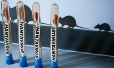 OMS da seguimiento a probable brote de hantavirus en crucero en el Atlántico