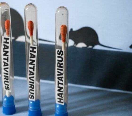OMS da seguimiento a probable brote de hantavirus en crucero en el Atlántico