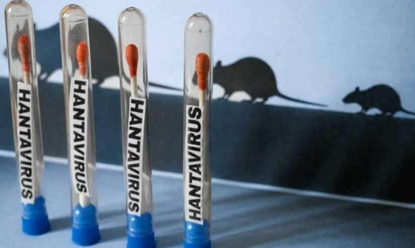 OMS da seguimiento a probable brote de hantavirus en crucero en el Atlántico