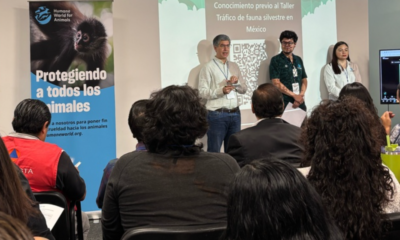 Profepa y Humane World fortalecen acciones contra el tráfico ilegal de fauna silvestre