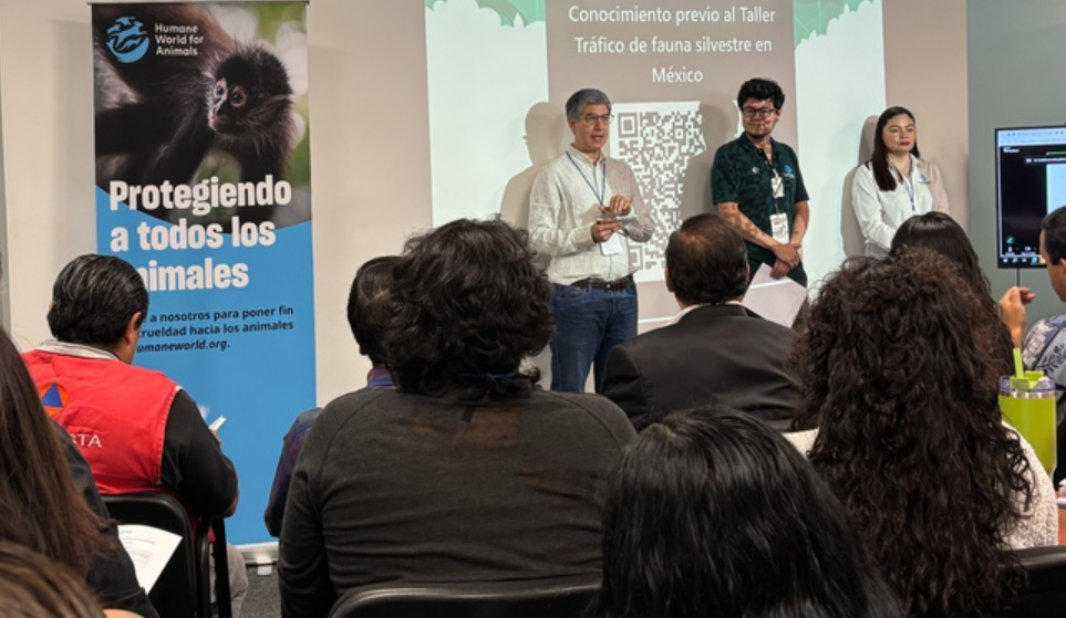 Profepa y Humane World fortalecen acciones contra el tráfico ilegal de fauna silvestre