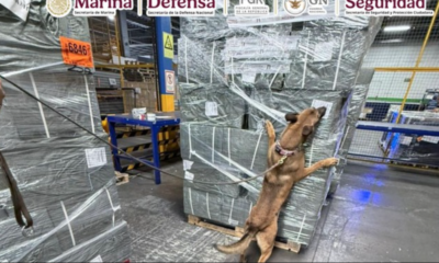 ANAM y SEMAR detectan cargamento de cigarrillos presuntamente apócrifos en el AICM