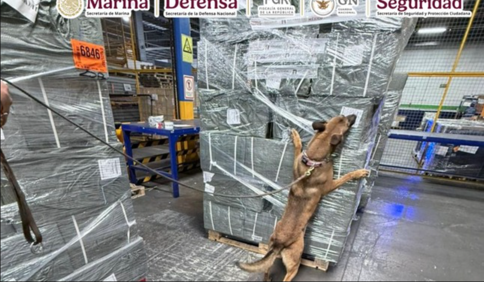 ANAM y SEMAR detectan cargamento de cigarrillos presuntamente apócrifos en el AICM