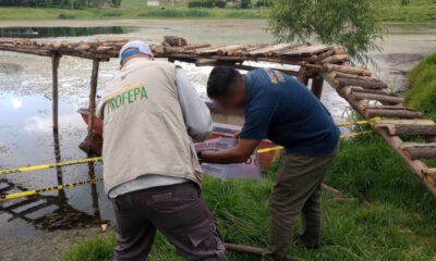 Profepa clausura obras irregulares en Áreas Naturales Protegidas del Estado de México