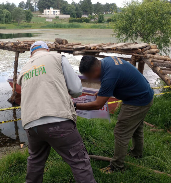Profepa clausura obras irregulares en Áreas Naturales Protegidas del Estado de México