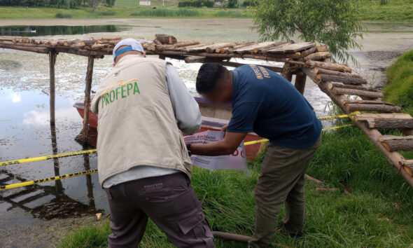 Profepa clausura obras irregulares en Áreas Naturales Protegidas del Estado de México