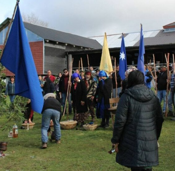 Comunidades indígenas de Chile rechazan propuesta de reforma sobre uso de tierras ancestrales