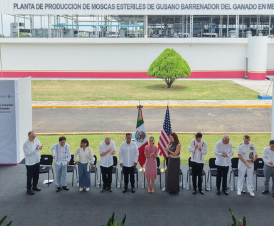 México y Estados Unidos fortalecen la sanidad animal con nueva planta para combatir el gusano barrenador del ganado