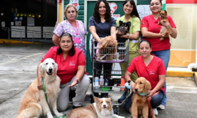 Terapias asistidas con perros mejoran el bienestar emocional de pacientes pediátricos en el INP