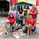 Terapias asistidas con perros mejoran el bienestar emocional de pacientes pediátricos en el INP