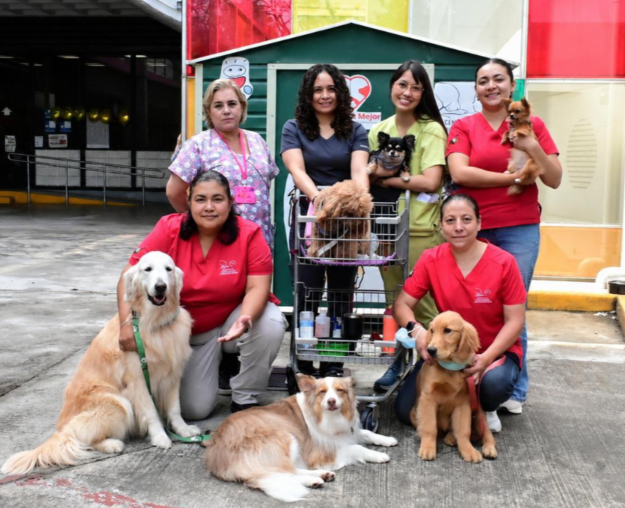 Terapias asistidas con perros mejoran el bienestar emocional de pacientes pediátricos en el INP