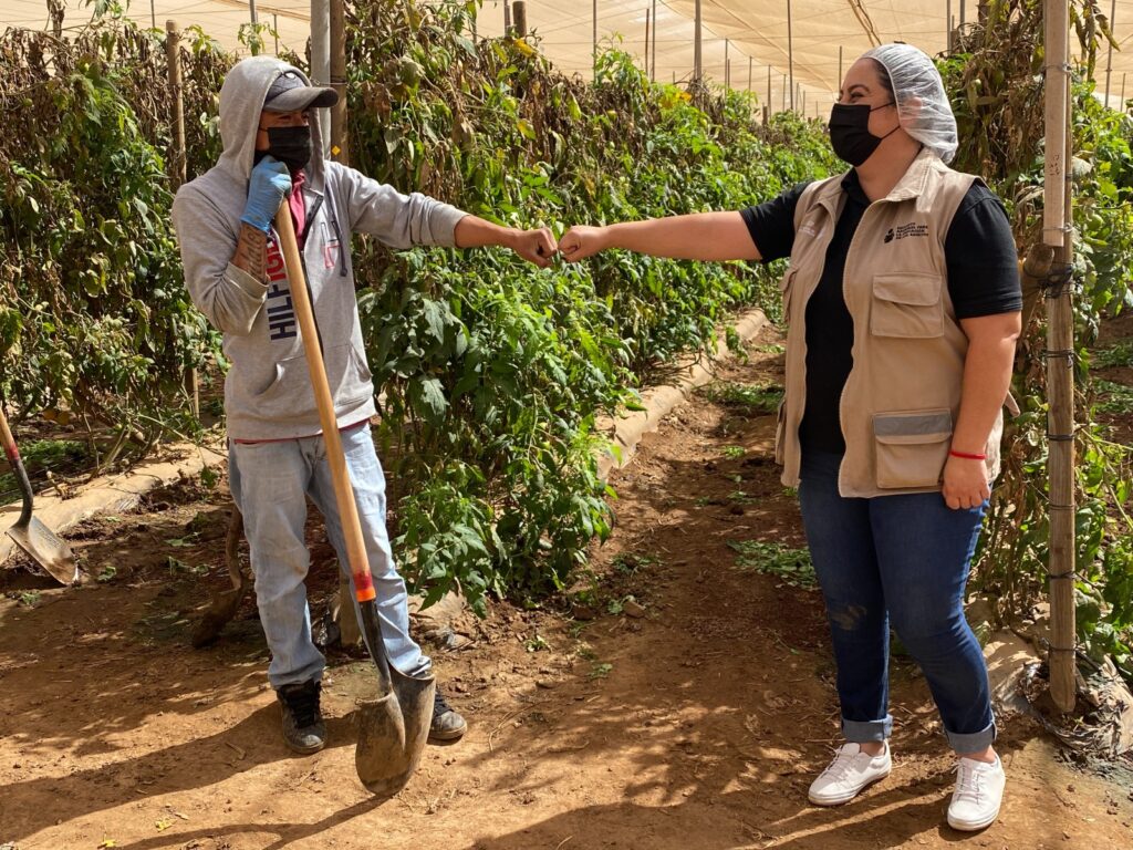 INEA brinda atención educativa a 958 jornaleras y jornaleros agrícolas migrantes en todo el país